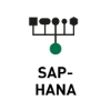 Data-Store-SAP-HANA